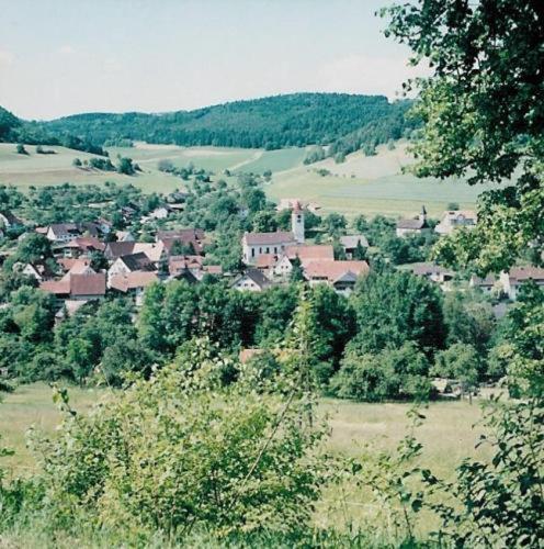 Gasthaus Schwanen & Villa Pfarrhus Stuhlingen Buitenkant foto